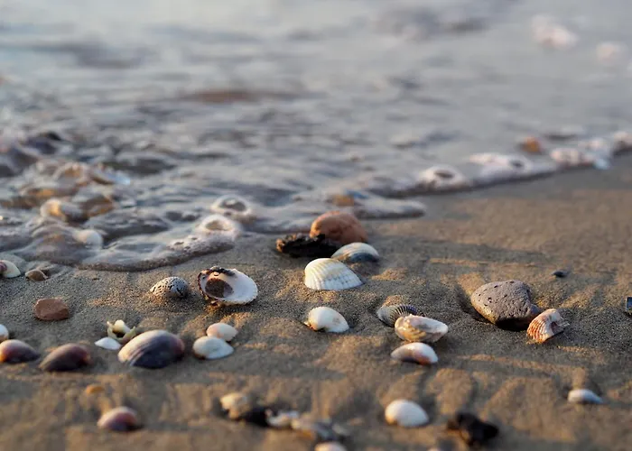 Comfy Flat With Shared Pool Apartment Bibione